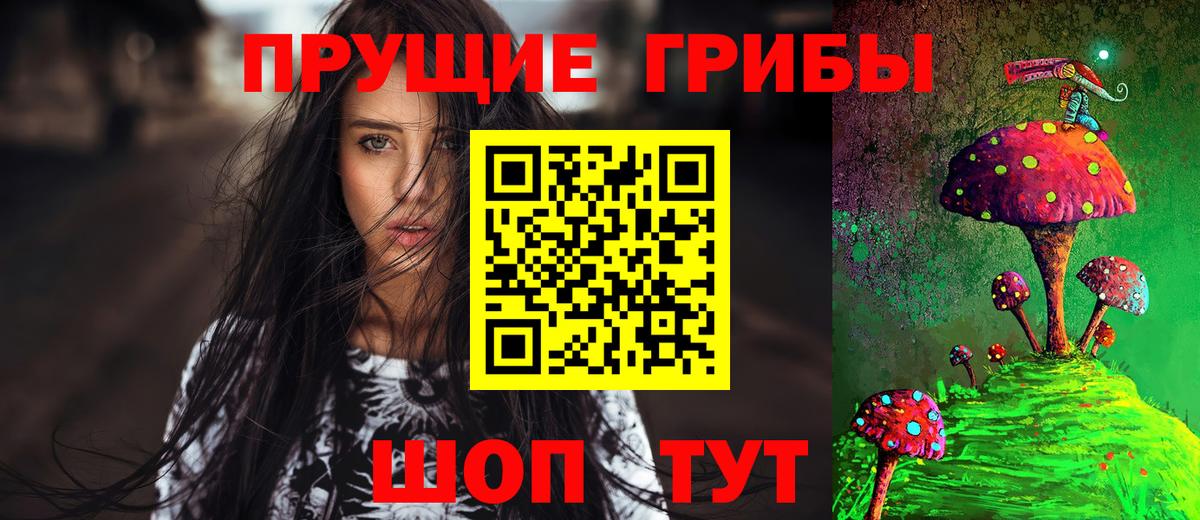 Псилоцибиновые грибы прущие грибы  купить наркотики цена  Галлюциногенные грибы ЛСД  Алейск  Вход с VPN 